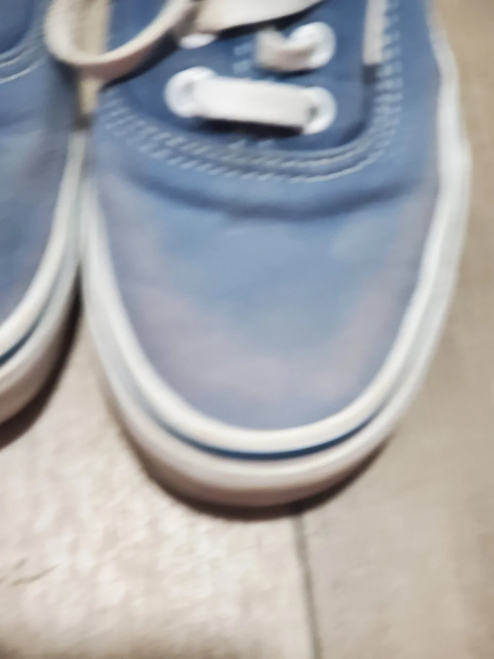 Vans Authentic Low Top Sneakers in Light Blue